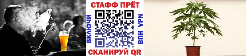 Купить наркотики сайты Сорочинск Кокаин  МАРИХУАНА  Меф мяу мяу  Псилоцибиновые грибы  Гашиш  A-PVP 