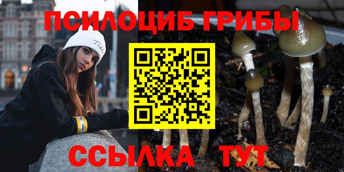 Псилоцибиновые грибы мухоморы Сорочинск