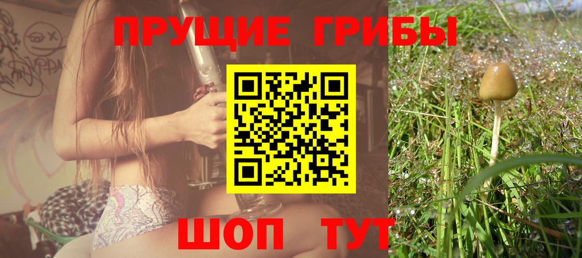 Галлюциногенные грибы MAGIC MUSHROOMS Сорочинск