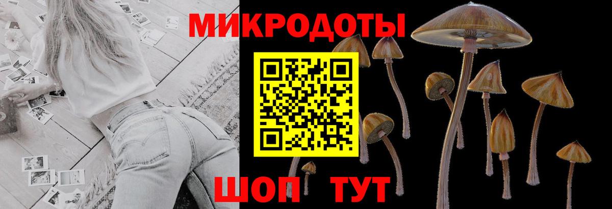 Псилоцибиновые грибы Psilocybe  дарнет шоп  Сорочинск  Вход с VPN  Псилоцибиновые грибы Psilocybe 